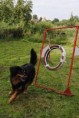 /album/fotogalerie/agility-kruh-jpg/